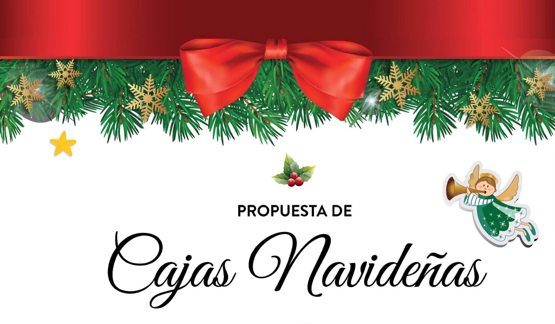 banner Cabecera Cajas Navidad